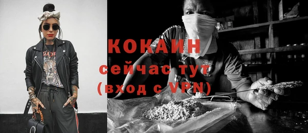 шишки Белокуриха