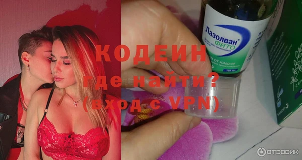 шишки Белокуриха