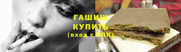 шишки Белокуриха