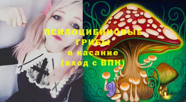 2c-b Белоозёрский
