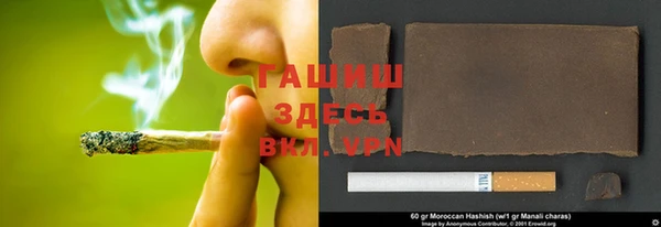 шишки Белокуриха