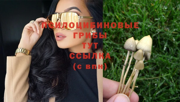 дурь Богородицк