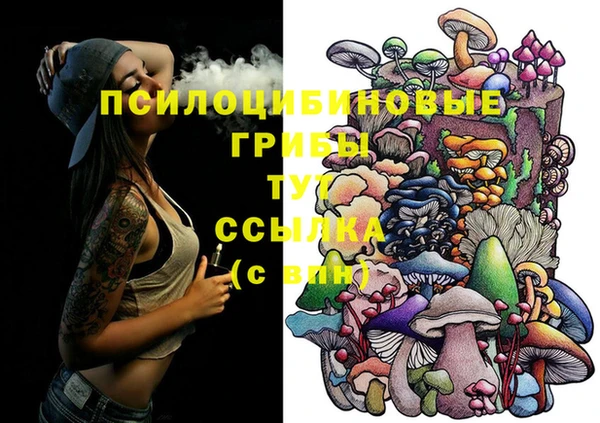 шишки Белокуриха