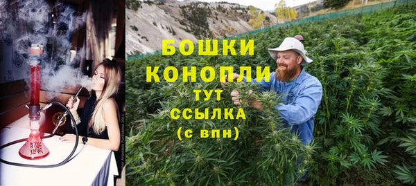 шишки Белокуриха